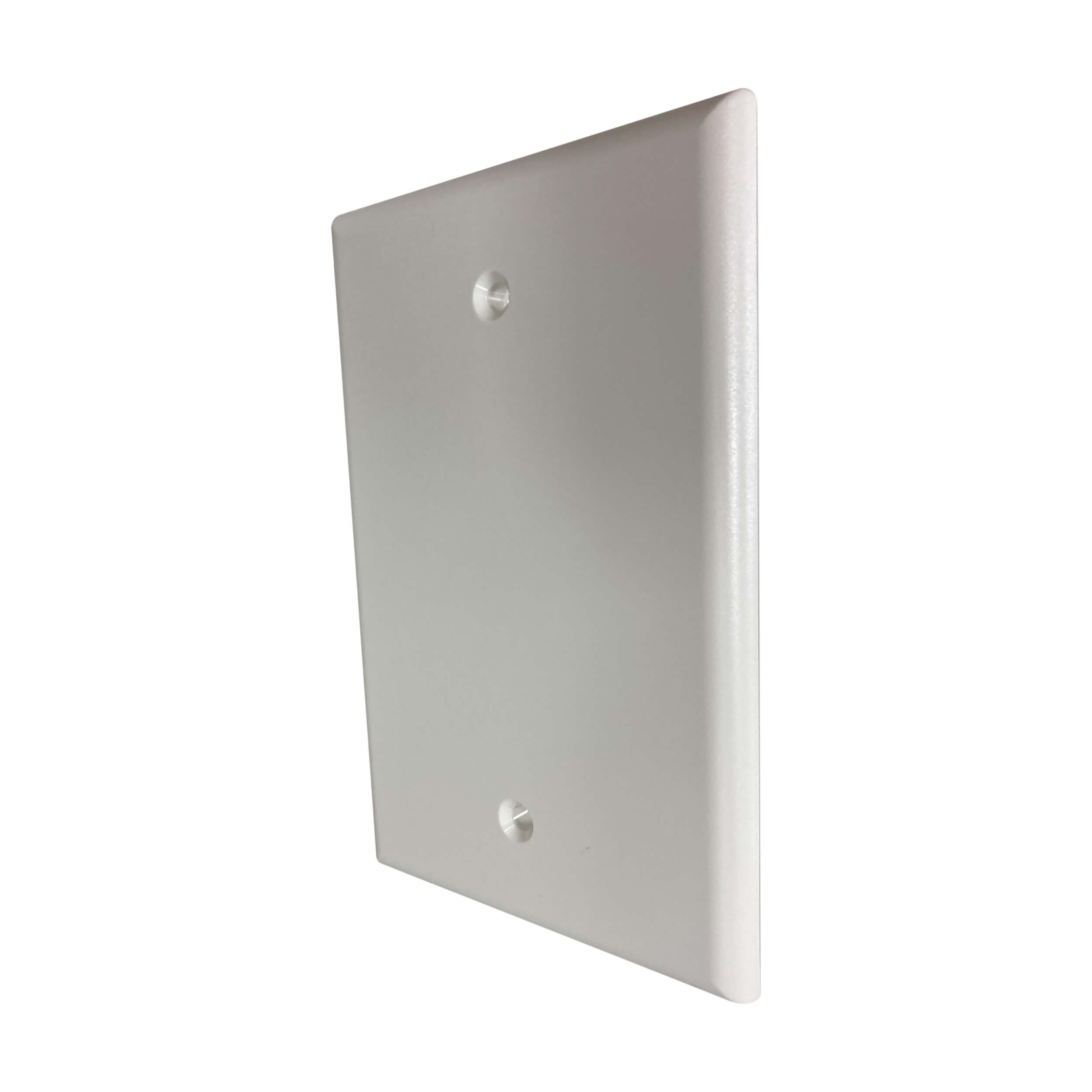 Blank Insert for Faceplate, Antibacterial, Matte Ivory | Eaton