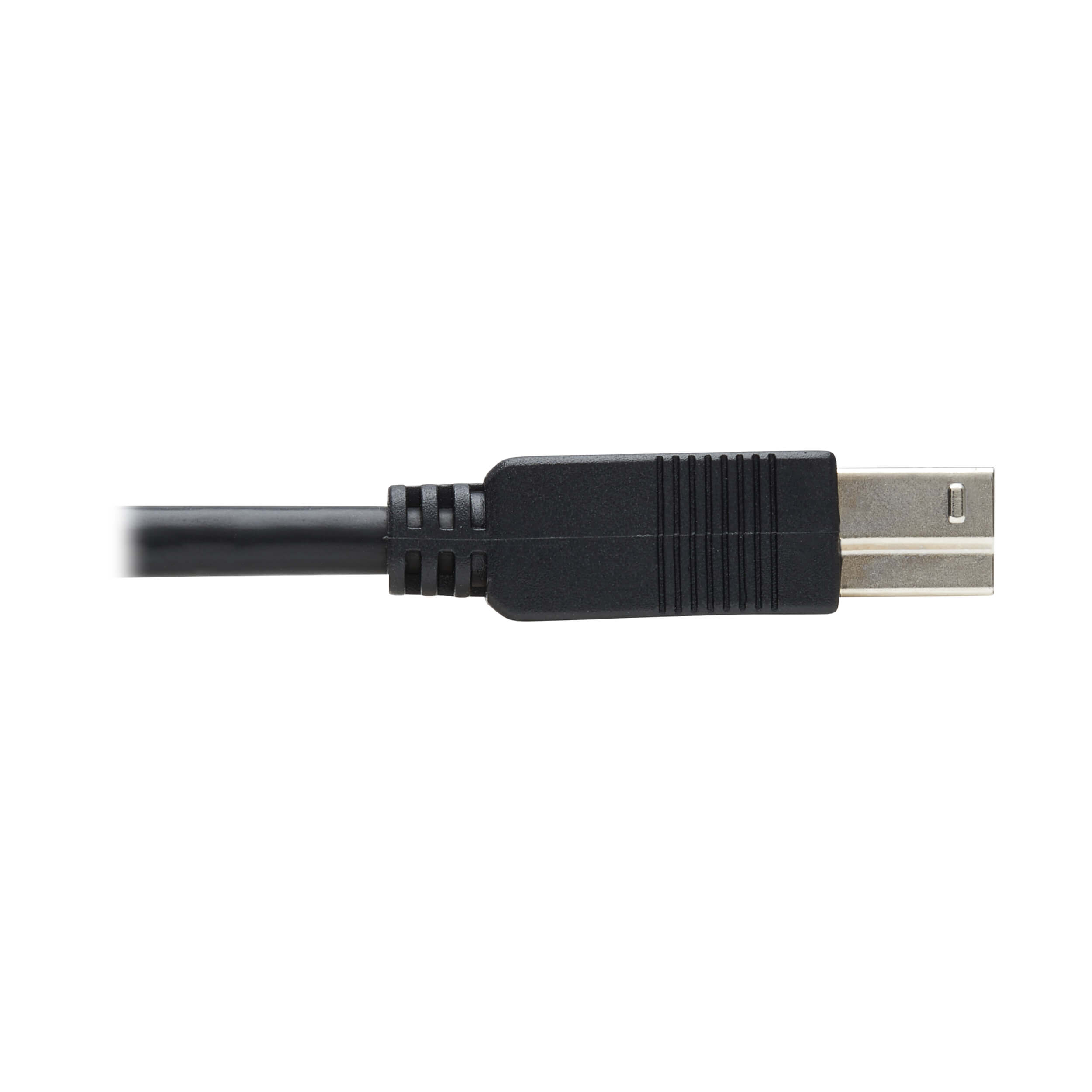USB Active Optical Cable, Plenum-Rated, USB-A to USB-B, 15 m | Eaton