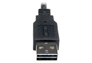 USB A (Male) - Reversible