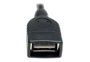 USB A (Female)