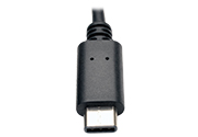 USB C (Male)