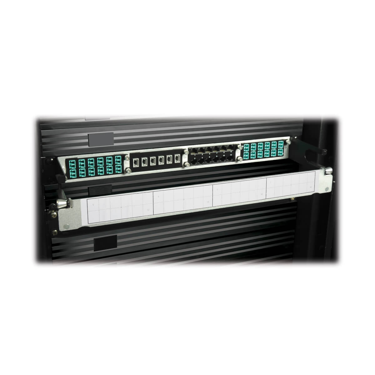 Up to 4 cassettes can be used with Tripp Lite's N484-01U High Density Copper Enclosure Panel.