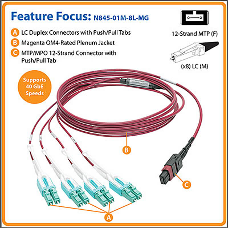 MTP/MPO to 8xLC Fan-Out Fiber Optic Cable, OM4, 1M | Tripp Lite