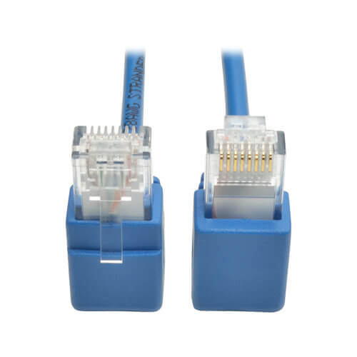 6 Blue and Clear RJ45 UTP Connector Cable - 3M 