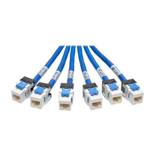 Cat6a 10G Pre-Terminated Copper Trunk Assembly (6x) RJ45, 10-ft 