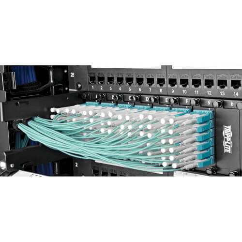 MTP/MPO Fan-out Fiber Optic Cable, OM3, 3M | Tripp Lite