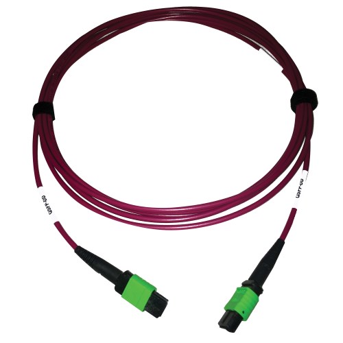 400G MTP/MPO Multimode OM4 Fiber Cable, Magenta, 3M | Tripp Lite