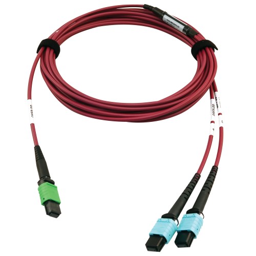 400G MTP/MPO Multimode OM4 Fiber Cable, 16F to 12F Magenta, 5M 