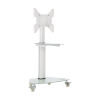 Premier Rolling TV Cart for 32” to 55” Displays, Frosted Glass Base and Shelf, Locking Casters, White DMCS3255SG62W