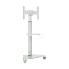 Premier Rolling TV Cart for 37” to 70” Displays, Frosted Glass Base and Shelf, Locking Casters, White DMCS3770SG75W