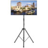 DMPDS2342TRIC other view small image | TV/Monitor Mounts
