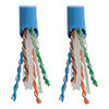 Four-pair solid UTP cable features tight twists, extra internal airspace, an internal separator between pairs and a thick outer jacket.