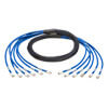 N261-006-6MM-BL front view small image | Copper Network Cables