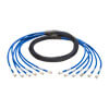 N261-010-6MM-BL front view small image | Copper Network Cables