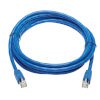 N261P-010-BL other view small image | Copper Network Cables