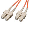Duplex Multimode 62.5/125 Fiber Patch Cable (SC/SC), 0.3M (1 ft.) N306-001