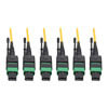 N392-23M-3X8-AP front view small image | Fiber Network Cables