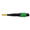 N392B-23M-3X8AP other view small image | Fiber Network Cables