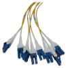 N48S-4L16L-10 other view small image | Fiber Network Infrastructure