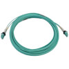 N820X-10M-OM4 other view small image | Fiber Network Cables