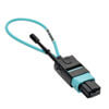 MTP / MPO Fiber Optic Loopback Tester (Multimode 50/125um, OM3) - Female N844-LOOP-12F