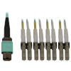 40/100/400G Multimode 50/125 OM3 Fiber Optic Cable (12F MTP/MPO-PC to 4x Duplex LC/PC F/M), LSZH, Aqua, 1 m (3.3 ft.) N844X-01M-8L-P