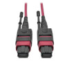 100G MTP/MPO Multimode OM4 Plenum-Rated Fiber Optic Cable (F/F), 12 Fiber, 40/100GBASE-SR4, Push/Pull Tabs, Magenta, 1 m N845-01M-12-MG
