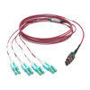 N845-01M-8L-MG other view small image | Fiber Network Cables