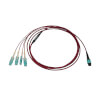 N845-03M-4S-MG other view small image | Fiber Network Cables