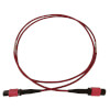 N845B-01M-12-MG other view small image | Fiber Network Cables