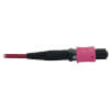 N845B-02M-12-MG other view small image | Fiber Network Cables