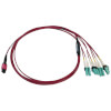 N845X-01M-8L-MG other view small image | Fiber Network Cables
