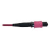 N845X-01M-8L-MG other view small image | Fiber Network Cables