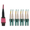 40/100G Multimode 50/125 OM4 Fiber Optic Cable (12F MTP/MPO-PC to 4x Duplex LC/PC F/M), LSZH, Magenta, 2 m (6.6 ft.) N845X-02M-8L-MG