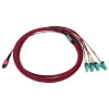 N845X-05M-8L-MG other view small image | Fiber Network Cables