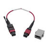 Magenta color identifies the cable as OM4.