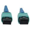 N846B-01M-24-P other view small image | Fiber Network Cables
