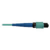 N846B-03M-24-P other view small image | Fiber Network Cables