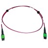 N846D-01M-16AMG other view small image | Fiber Network Cables