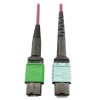 400G Multimode 50/125 OM4 Plenum Fiber Optic Cable, 16F MTP/MPO-APC to 24F MTP/MPO-UPC (F/F), Magenta, 1 m N846D-01M-16CMG