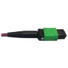 N846D-01M-16EMG other view small image | Fiber Network Cables