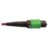 N846D-03M-16CMG other view small image | Fiber Network Cables