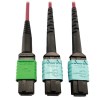 400G Multimode 50/125 OM4 Plenum Fiber Optic Cable, 16F MTP/MPO-APC to (x2) 12F MTP/MPO-UPC (F/F), Magenta, 3 m N846D-03M-16DMG
