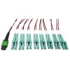 400G Multimode 50/125 OM4 Plenum Fiber Optic Breakout Cable, 16F MTP/MPO-APC to (x4) LC Duplex (F/M), Magenta, 3 m N846D-03M-16EMG