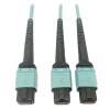 400G Multimode 50/125 OM4 Plenum Fiber Optic Cable, 24F MTP/MPO-PC to (x2) 12F MTP/MPO-PC (F/F), Aqua, 3 m N846D-03M-24BAQ
