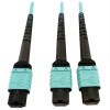 400G Multimode 50/125 OM4 Plenum Fiber Optic Cable, 24F MTP/MPO-PC to (x2) 12F MTP/MPO-PC (F/F), Aqua, 5 m N846D-05M-24BAQ