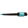 N846D-05M-24BAQ other view small image | Fiber Network Cables
