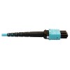 N846D-10M-24AAQ other view small image | Fiber Network Cables