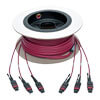Magenta color identifies the cable as an OM4 cable.