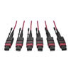 MTP/MPO Multimode Base-8 Trunk Cable, 24-Strand, 40GB/100GB, 40/100GBASE-SR4, OM4 Plenum-Rated (3xF/3xF), Push/Pull Tab, Magenta, 23 m (75 ft.) N858-23M-3X8-MG